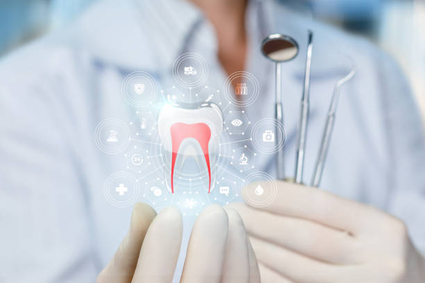 Best TMJ/TMD Treatment  in Seminole Manor, FL